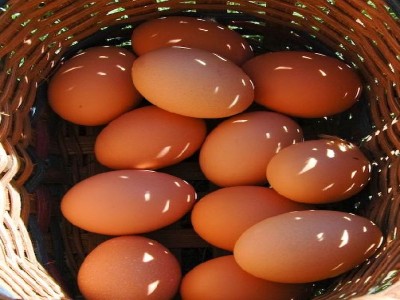 Fresh Brown Chicken Eggs